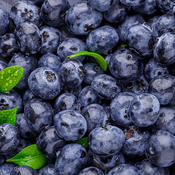 藍莓