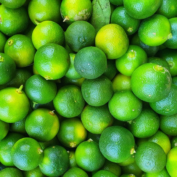 CALAMANSI