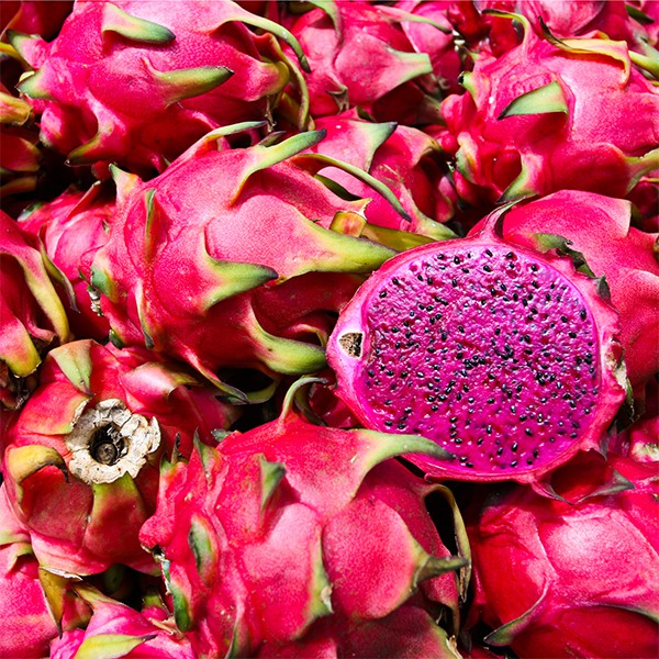 DRAGON FRUIT (RED)