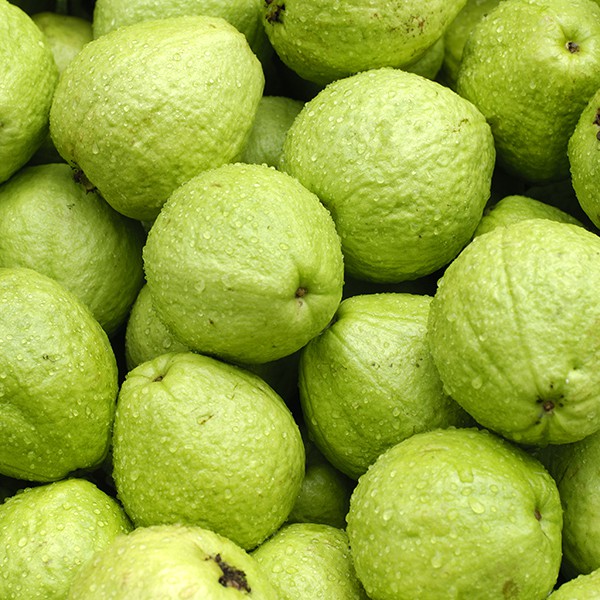 GUAVA