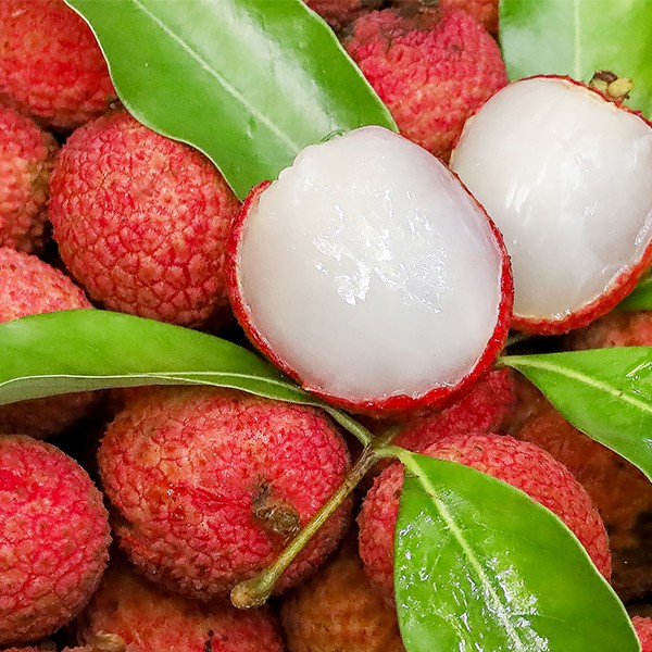 LYCHEE
